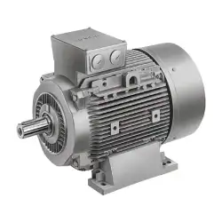 Innomotics – 1LA6166-4AA66-Z L12