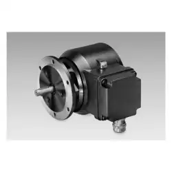 Baumer – EExOG 9 S