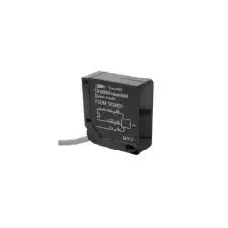 Baumer – FSDM 12D9601