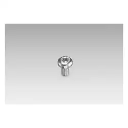 Baumer – Self-tapping grounding screw (Z 119.100)