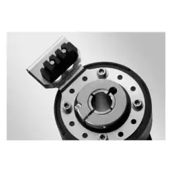 Baumer – Spring coupling for motor’s fan guard (Z 119.068)