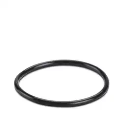 Phoenix Contact – WP-OR PG36