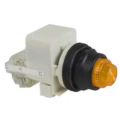 Schneider Electric – 9001SKT1A31