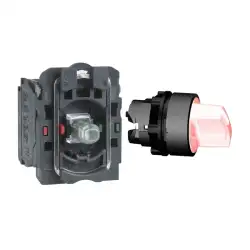 Schneider Electric – XB5AK134B5N