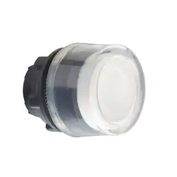 Schneider Electric – ZB5AP18