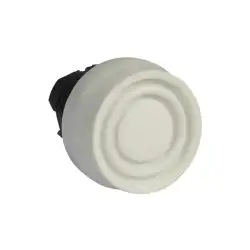 Schneider Electric – ZB5AP1S