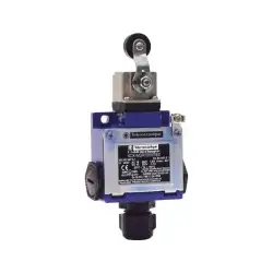 Telemecanique – XCKM3915H29EX