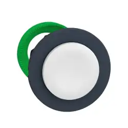 Schneider Electric – ZB5FL1