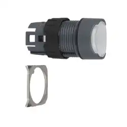 Schneider Electric – ZB6AF1