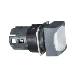 Schneider Electric – ZB6CF1