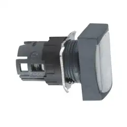 Schneider Electric – ZB6DF1