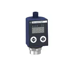 Telemecanique – XMLR250M2N25