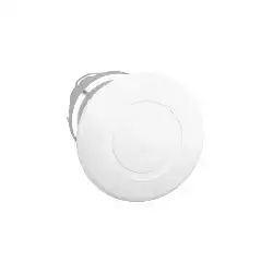 Schneider Electric – ZB4BT1