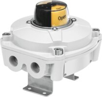 Festo – SRBE-CA3-YR90-R-2A-1W-C2M20-EX