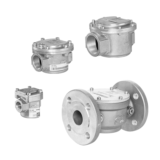 Dungs – GF: Gas and air filter