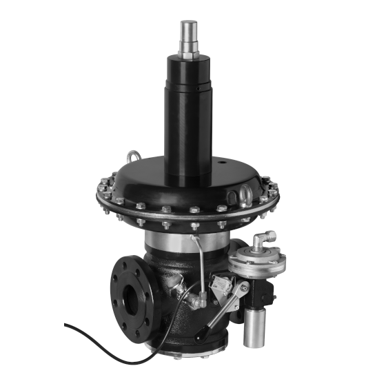 Dungs – Reed Contact Limit Switch