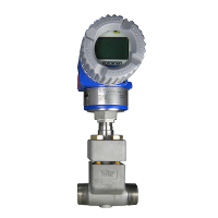 Foxboro – Vortex flowmeters, Flow, Male NPT