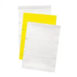 Weidmuller – ESO/SCHS1  500X12,5X0,3