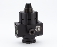 Norgren – R24-600-RNLG