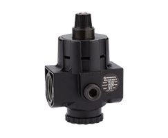 Norgren – R24-800-RNLG