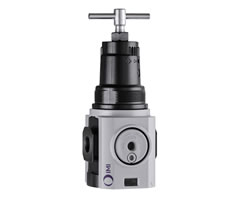 Norgren – R84G-6GT-RFN