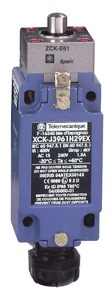 Telemecanique – XCKJ3961H29EX
